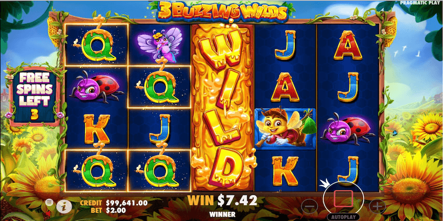 Slot game gameplay showing reels, symbols and active paylines