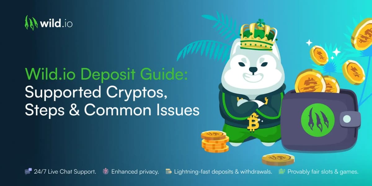 Wild.io Deposit Guide: Supported Cryptos, Steps & Common Issues