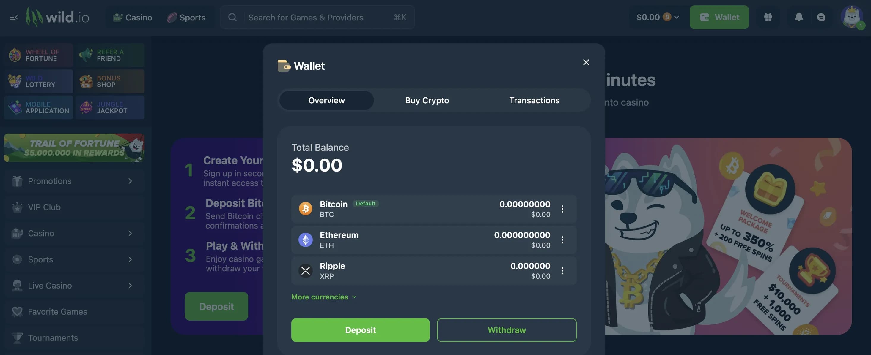 Wild.io wallet interface showing crypto balances and deposit options