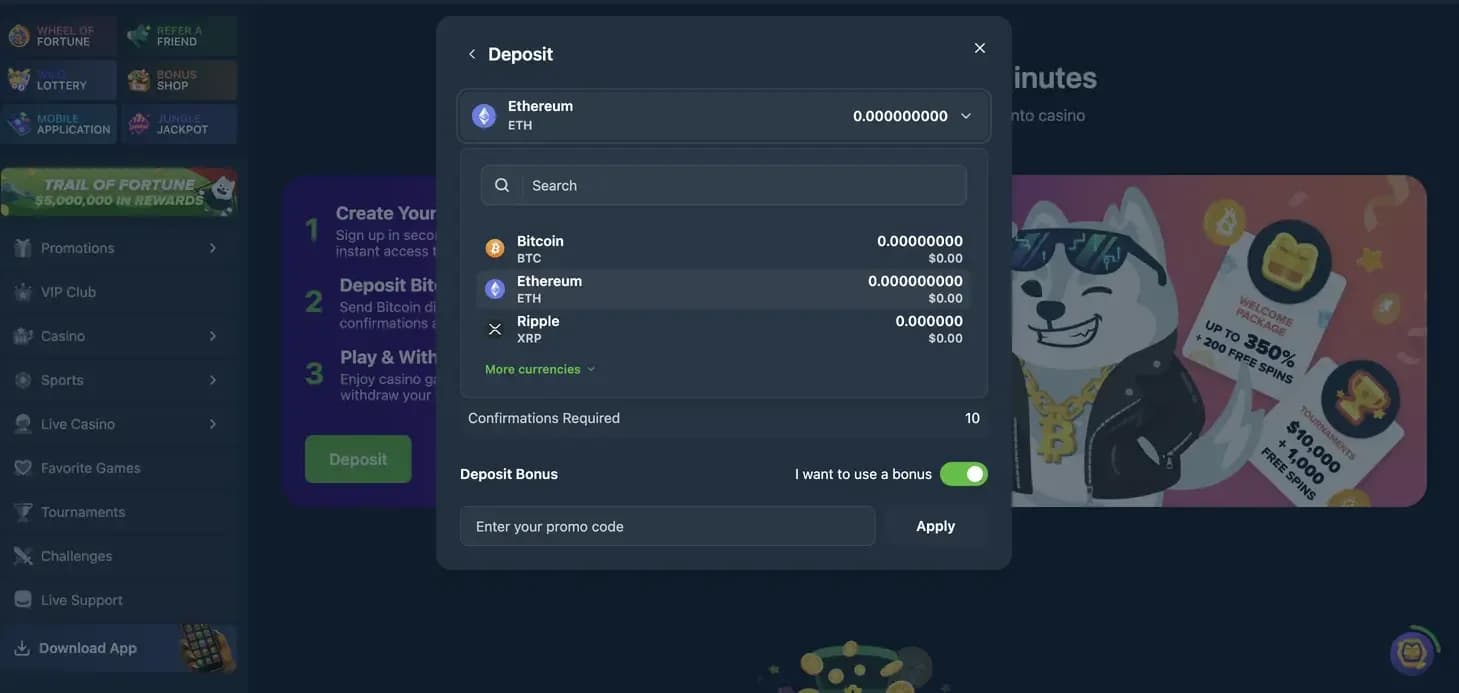 Wild.io deposit screen showing cryptocurrency selection, Ethereum option, and required confirmation details