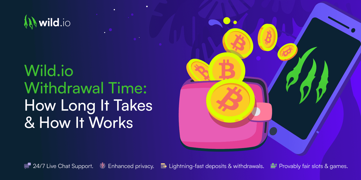 Wild.io illustration showing a crypto wallet, Bitcoin coins, and smartphone graphic