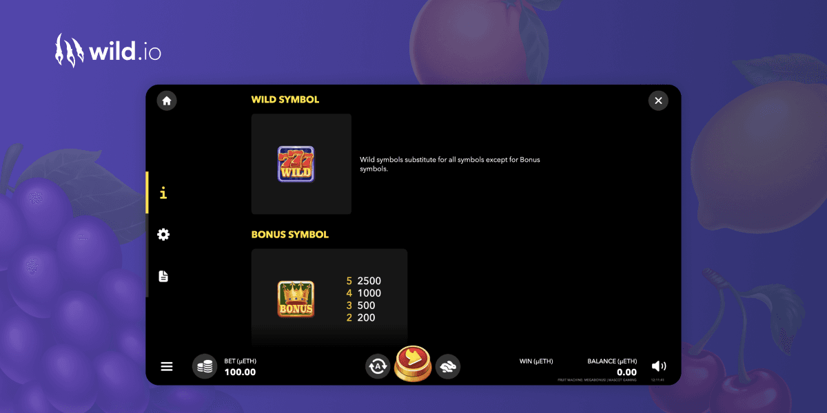 Fruit Machine Megabonus slot feature screen showing bonus mechanics and game rules