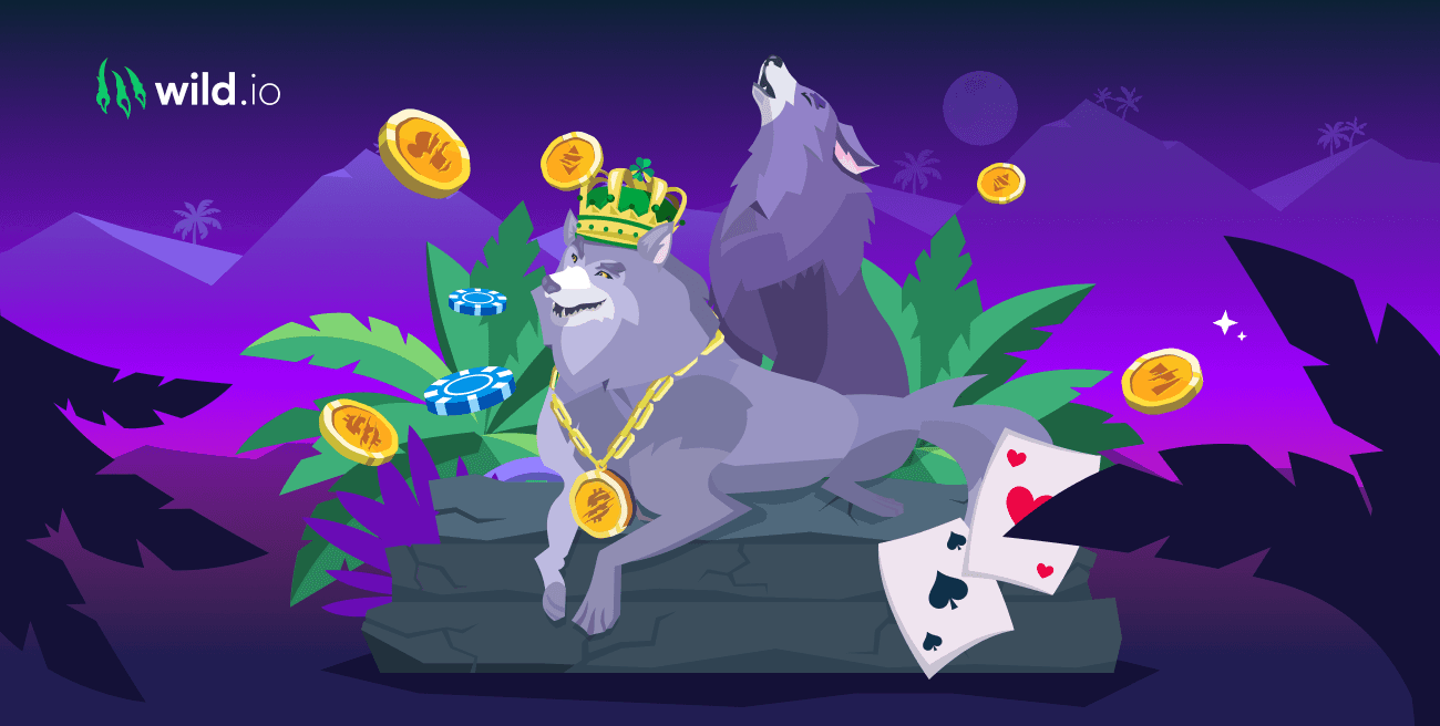 Wild.io refer a friend program illustration with rewards, coins and invited friends