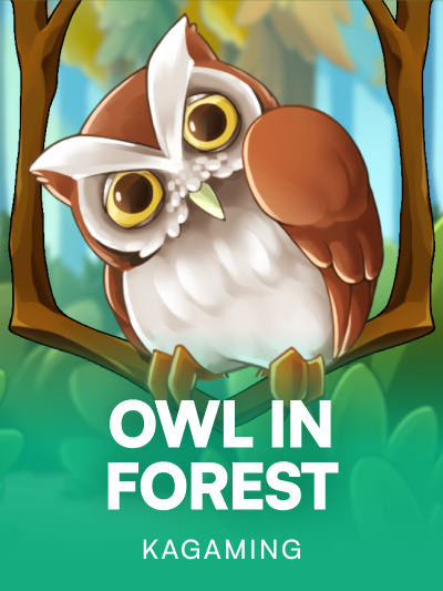 Game card image for Owl In Forest