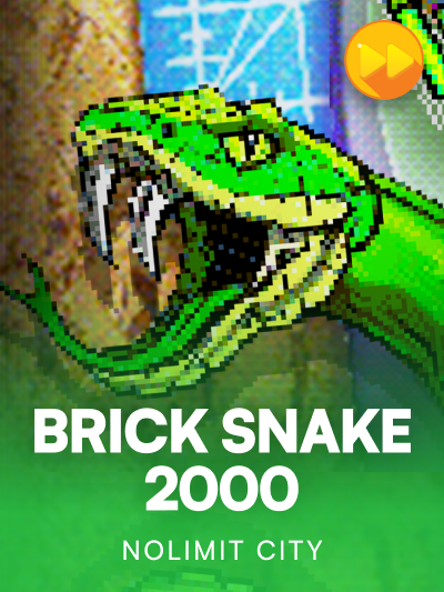 Game card image for BRICK SNAKE 2000
