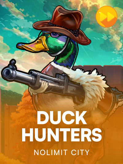 Game card image for Duck Hunters