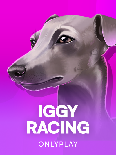 Game card image for Iggy Racing