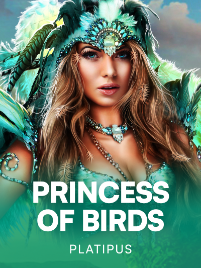 Game card image for Princess of Birds