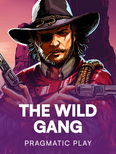 Game card image for The Wild Gang
