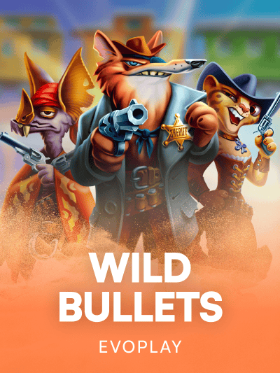 Game image for Wild Bullets