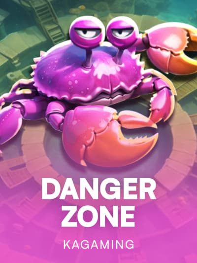 Game image for Danger Zone