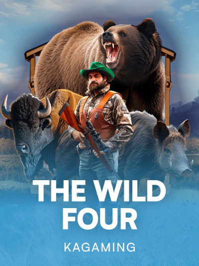 Game image for The Wild Four