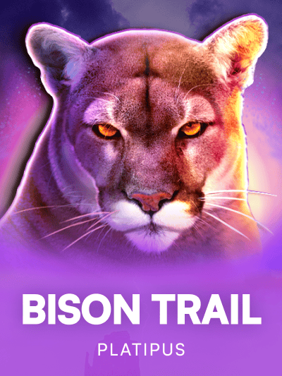 Game image for Bison Trail