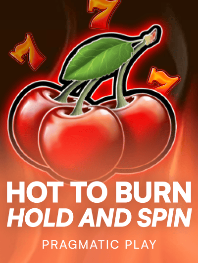 Game image for Hot to Burn Hold and Spin