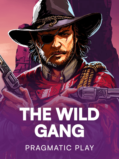 Game image for The Wild Gang