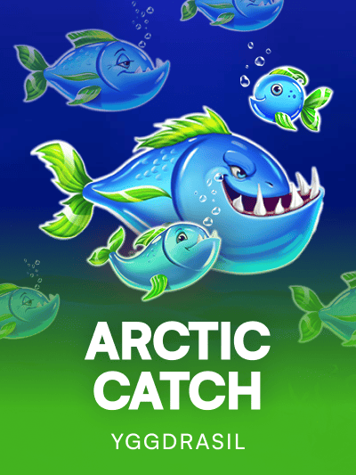 Game image for Arctic Catch