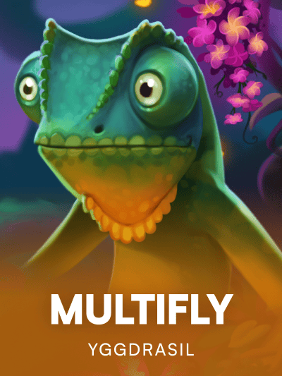 Game image for Multifly