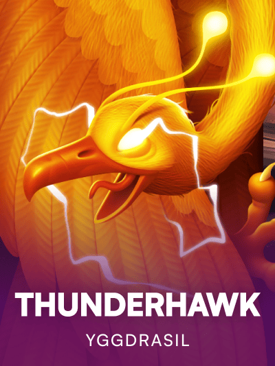 Game image for Thunderhawk